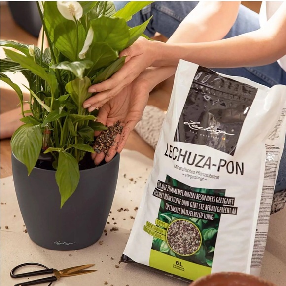 🪴 LECHUZA PON Planting Media Substrate Flowers Plants 12L Mineral Zeolite - Picture 4 of 7